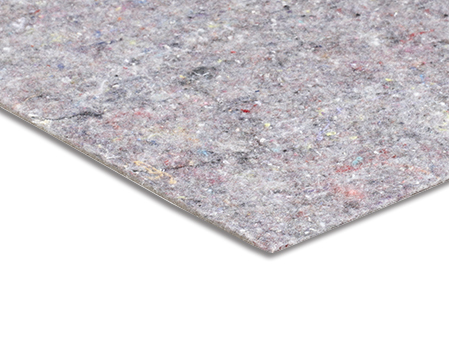 Sedum Album Coral Carpet