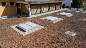 JOUR DE LA PLANTATION DE MINI-MOTTES DE SEDUMS