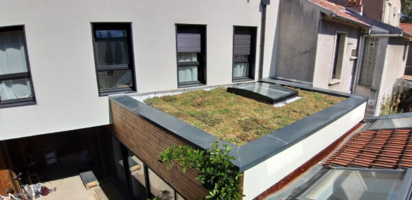 Sedumbox Gamme BASIQUE – Image 6