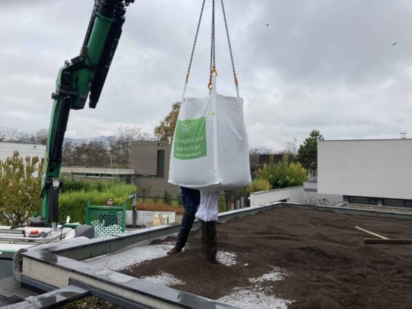 sac toit vegetalise