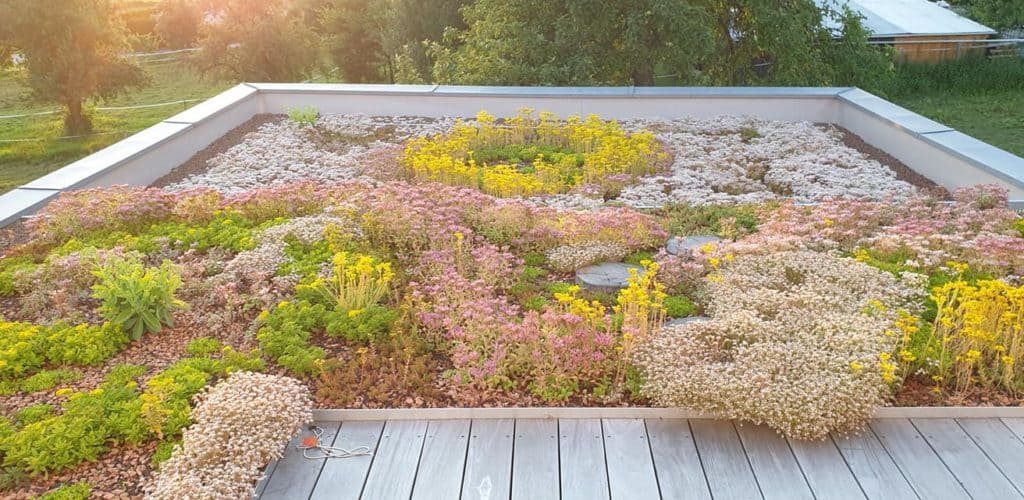 Toiture végétalisée à base d'un drainage adapté