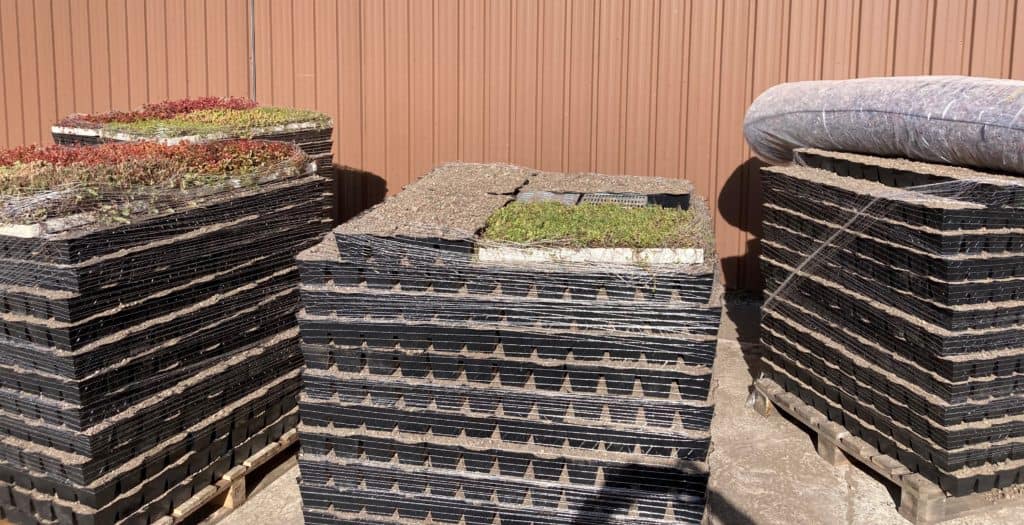 palettes de caissettes substratées