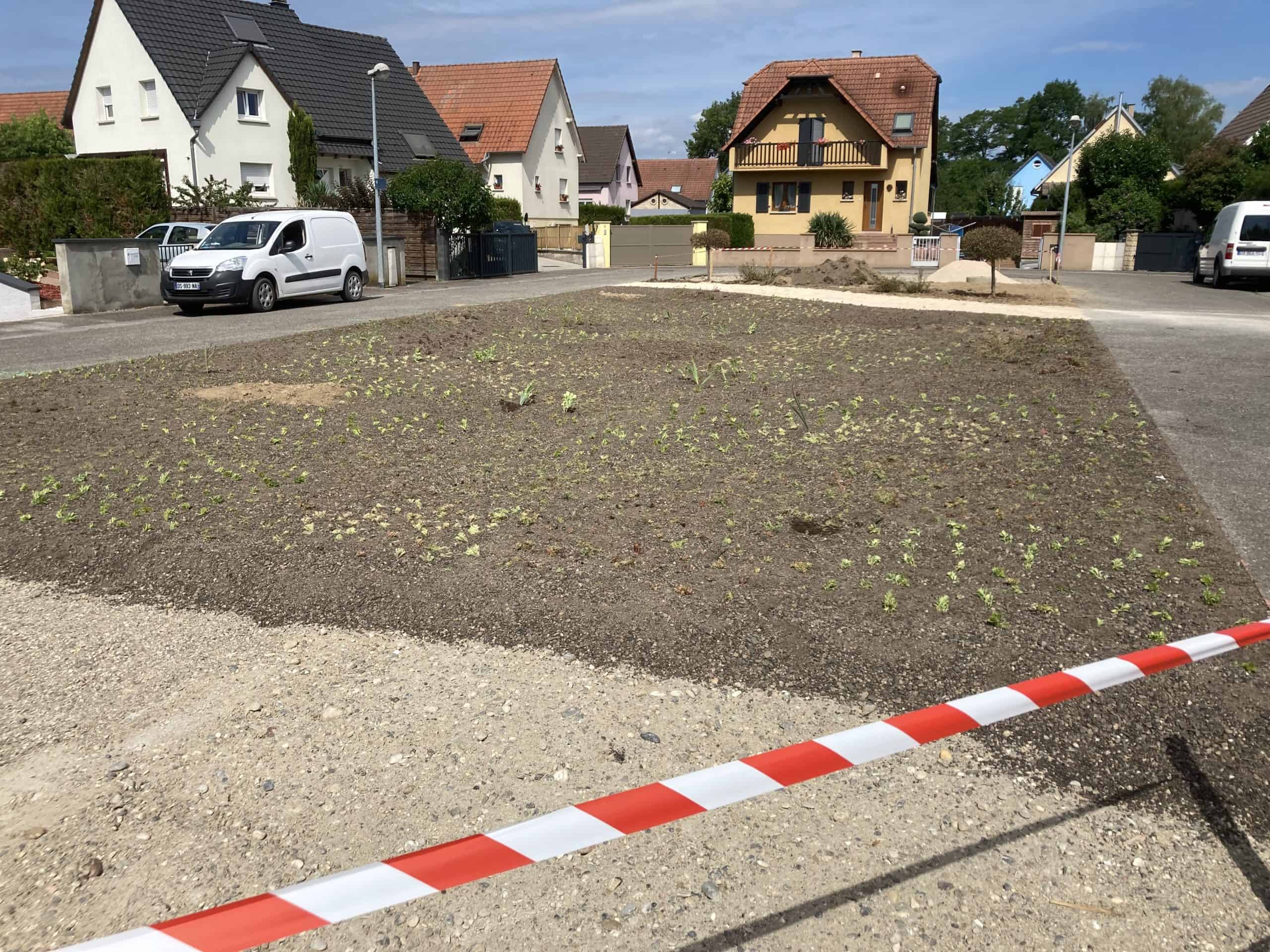 NOUES VEGETALISEES HUTTENHEIM (6)