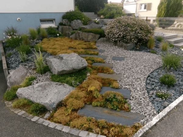 Mini motte de sedum – Image 13