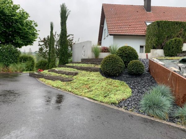 Tapis de sedum – Image 5