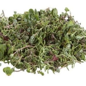 Fragments de sedum