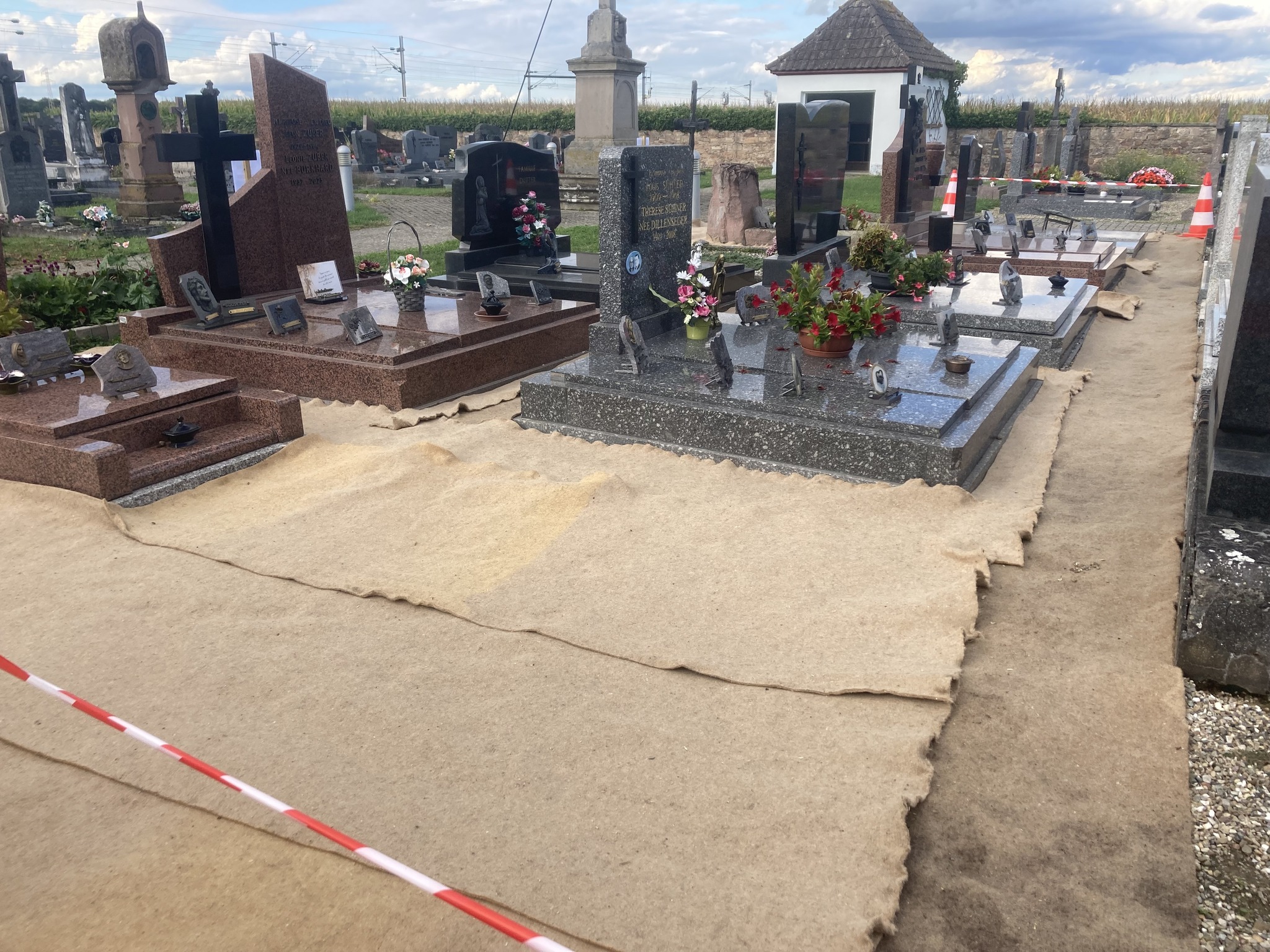 Toile de paillage naturelle et biodégradable: rouleau de 33 m². Grammage: 800 g/m². – Image 3