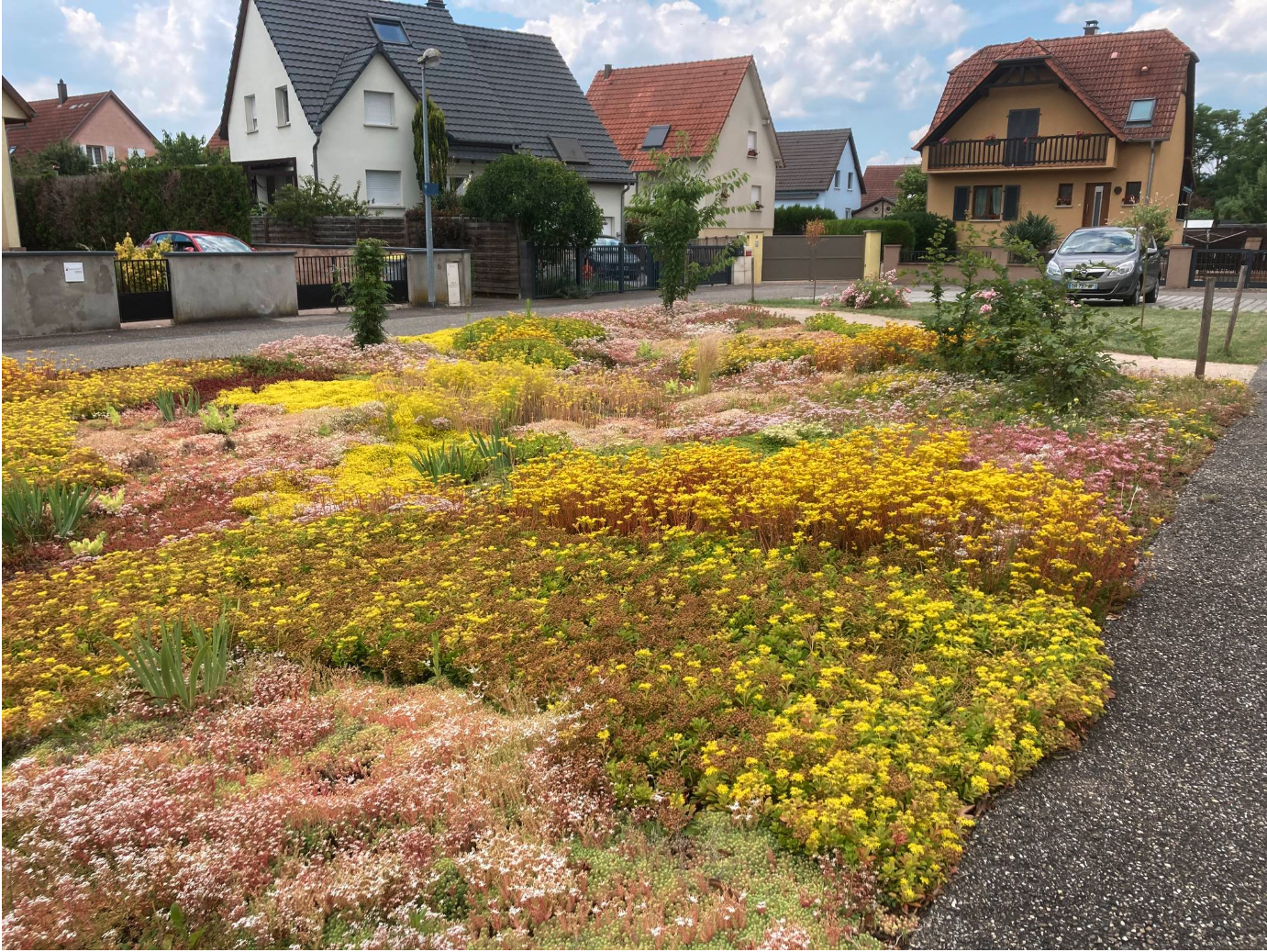 POLE SANTE MARCKOLSHEIM (1)